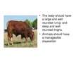 Prezentācija 'Characterization of Beef Cattle Breeds', 11.