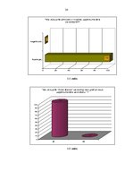 Referāts 'Zīmola nozīme uzņēmumā', 24.