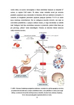 Referāts 'Hemolītiskās anēmijas', 22.