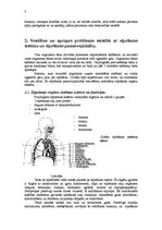 Konspekts 'Elpošanas sistēma', 3.