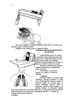 Konspekts 'Elpošanas sistēma', 11.