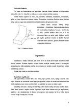 Referāts 'Kokmateriālu un dabas šķiedras saturošu polimērkompozītu īpašību izpēte', 9.