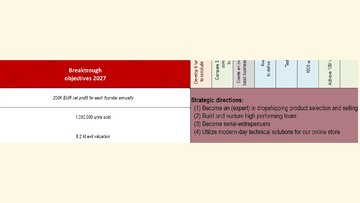 Biznesa plāns 'Dropshipping business strategy with the X-Matrix', 12.