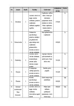 Referāts 'Mārketinga plāns ziedu veikalam "Dafna D"', 17.