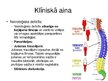 Prezentācija 'Akūti galvas smadzeņu asinsrites traucējumi', 40.