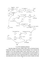 Diplomdarbs 'Darba plūsmu modelēšana un analīze, izmantojot Petri tīklus', 55.
