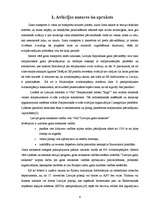 Referāts 'Aviācijas nozares un lidostas "Rīga" attīstība laika periodā no 2007.gada līdz 2', 6.