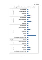 Referāts 'Rīgas tematisko bāru piedāvājums un pieprasījums jauniešu vidū', 36.