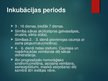 Prezentācija 'Ebolas vīrusslimība jeb ebolas hemorāģiskais drudzis', 11.