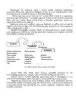 Referāts 'Va/s "Latvijas Pasta" organizatoriskās struktūras konversija', 17.