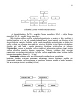 Referāts 'Va/s "Latvijas Pasta" organizatoriskās struktūras konversija', 35.