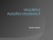 Referāts 'Volejbols Rudzātu vidusskolā', 30.