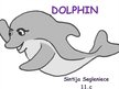 Prezentācija 'Dolphin', 1.