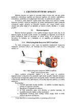 Referāts 'Biomasas izmantošana enrģētikā', 5.