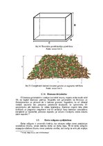 Referāts 'Biomasas izmantošana enrģētikā', 16.