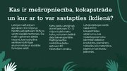 Prezentācija 'Mežrūpniecība un kokapstrāde', 3.