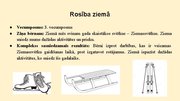 Prezentācija 'Rotaļdarbība un starpdisciplinaritāte Integrēta mācību satura polānošana tematam', 1.