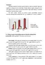 Diplomdarbs 'SIA "Tehniskais centrs" finanšu analīze un attīstības iespējas', 29.