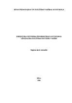 Diplomdarbs 'Direktora vietnieks informātikas jautājumos izglītības iestādes vadības darbībā', 1.