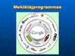 Prezentācija 'Interneta pārlūkprogrammas un meklētājprogrammas', 8.