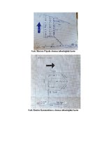 Prakses atskaite 'Prakses atskaite - mežizstrāde', 3.