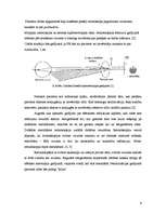 Referāts 'Retinoskopijas sistemātiskās kļūdas novērtējums', 9.