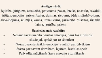 Prezentācija 'ES grāmatiņa', 16.