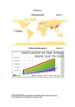 Eseja 'Pārapdzīvotība nav globāla problēma', 3.