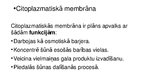 Prezentācija 'Mikrobioloģija', 31.