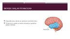 Prezentācija 'Neiropsiholoģiskie sindromi. Galvenie neiropsiholoģiskie sindromi pie galvas sma', 13.