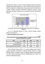 Diplomdarbs 'SIA "Baltijas servisa bizness" finansiālās darbības analīze', 44.