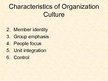 Prezentācija 'Basic Organization Designs', 20.