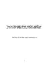 Referāts 'Traumatisms pusaudžu vidū un drošības apguves un ievērošanas nepieciešamība', 2.