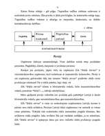 Referāts 'Uzņēmuma mārketinga analīze', 12.