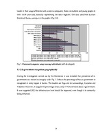 Diplomdarbs 'The Analysis of Efficiency and Productivity Levels of Latvian E-government', 54.