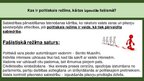 Prezentācija 'Fašisms', 4.