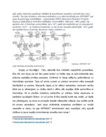 Referāts 'Manas atklāsmes un gaidas saistībā ar internetu', 2.