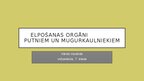 Prezentācija 'Elpošana putniem un mugurkauliniekiem', 1.