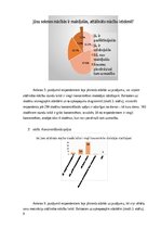 Referāts 'Motivācija mācībās Covid-19 pandēmijas attālināto mācību laikā pamatskolas vecum', 9.