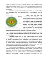 Eseja 'Noteicošais faktors personāla attīstībā - cilvēka daba vai uzņēmuma kultūra', 2.