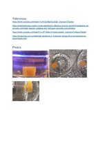 Paraugs 'The effect of change in temperature on enzyme (catalase) action', 4.