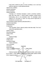 Diplomdarbs 'SIA "BCT" konteineru termināla darbības optimizācija', 37.