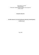 Prakses atskaite 'Mācību prakse Latvijas Republikas Valsts ieņēmumu dienestā, stratēģiskās vadības', 1.