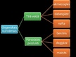 Prezentācija 'Organiskais kurināmais un dabas aizsadrdzība', 3.