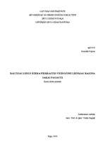 Referāts 'Baltijas ledus ezera piekrastes veidojumi Liepājas rajona Sakas pagastā', 1.