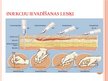 Prezentācija 'Intravenozās injekcijas', 5.