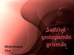 Prezentācija 'Sadzīvē sastopamās prizmas', 1.