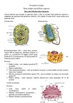 Konspekts 'Šūnas organoīdi', 1.