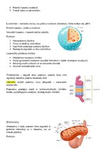 Konspekts 'Šūnas organoīdi', 2.