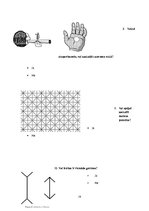 Referāts 'Optiskās ilūzijas', 19.